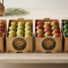 Frische Hantasch-Farm-Mangos – Keitt, Kent, Naomi und Butter-Mango