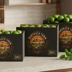 Frische grüne Limetten von Hantasch Farm