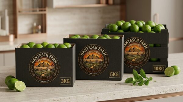 Carton_boxes_filled_with_lime_202608200448 Frische grüne Limetten von Hantasch Farm