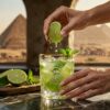 Woman_squeezing_lime_for_juice_202608211502 Limette und frische Minze von Hantasch Farm